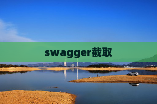 swagger截取